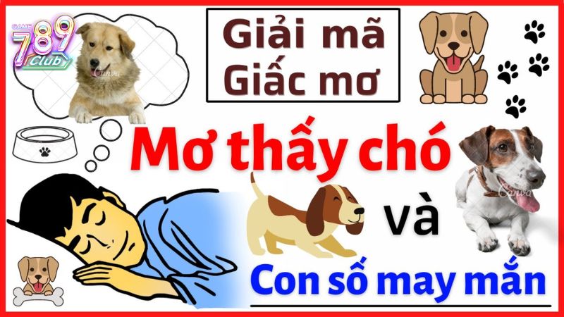 nam-mo-thay-cho-con
