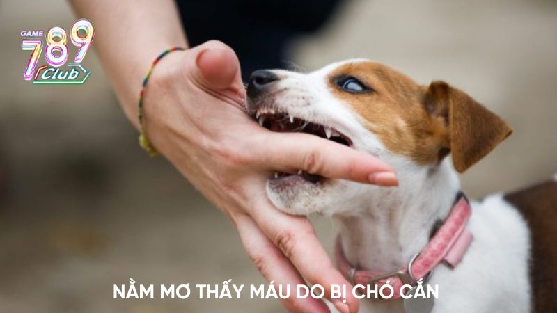 Nằm mơ thấy máu do bị chó cắn