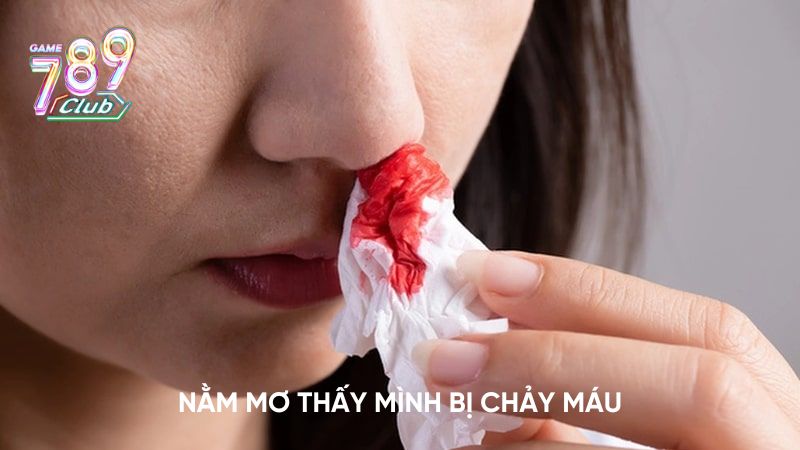 Giải mã chi tiết việc mơ thấy máu thì nên đánh con gì?